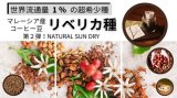 【予告】9/3 12時～「超希少種！マレーシア産リベリカ種の新精製方法のクラウドファンディング」開始！