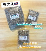 数量限定商品！ラオス【ジョイ農園『ピーベリー』】・【センチャン農園・イエローカツアイ種/ハニープロセス】のご紹介