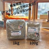 数量限定！！ホンジュラスSHG 【サンタバーバラ地区指定】のご紹介☆