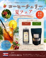 【数量限定商品】  ●【コスタリカ産】コーヒーチェリーシロップ 「ベーシック フレーバー」200ml ●【コスタリカ産】コーヒーチェリーシロップ 「スパイス フレーバー」200ml ●【コスタリカ産】コーヒーチェリーティー（カスカラ） 100ｇのご紹介
