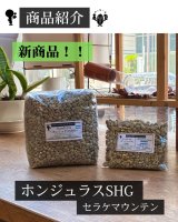 新商品【 ホンジュラスSHG セラケマウンテン 】のご紹介