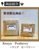 数量限定商品！「ケニア ピーベリー」のご紹介！