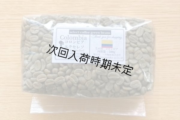 画像1: 【500g】コロンビア　エクセレソ（オーガニック地域）　 (1)