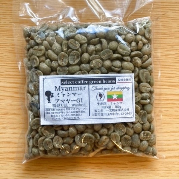 画像1: 【100g】ミャンマー アマヤーＧ1 washed（現地貢献豆） (1)