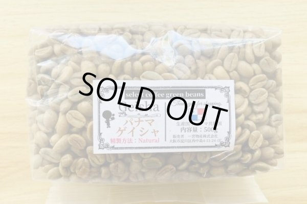 画像1: 【500g】パナマ ゲイシャ（ナチュラル）  (1)