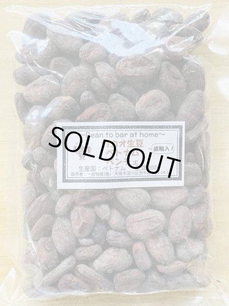 画像1: ◉カカオ生豆◉【200ｇ】直輸入！！ベトナム(ベンチェ)産 (1)