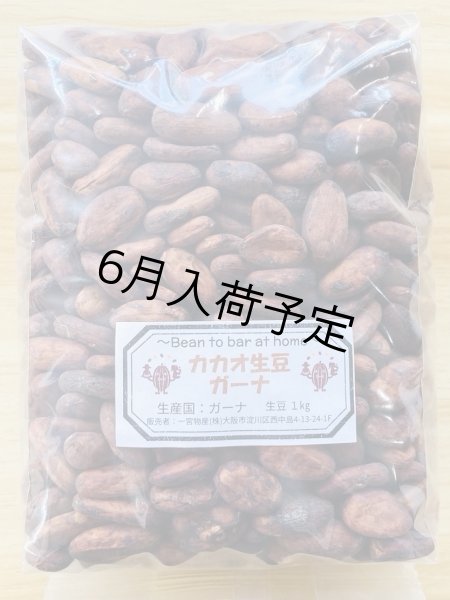 画像1: ◉カカオ生豆◉【1kg】ガーナ産 （5%お得価格） (1)