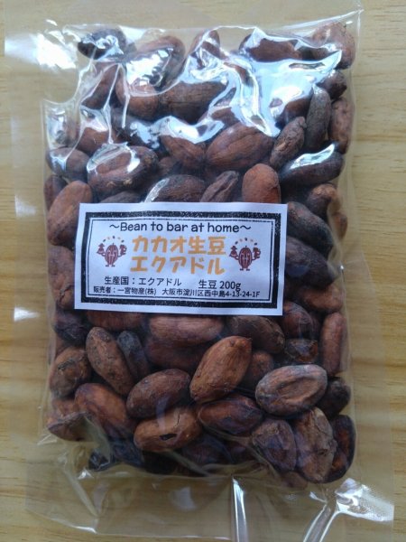 画像1: ◉カカオ生豆◉【200ｇ】エクアドル産 アリバ・ナシオナル種 （数量限定） (1)