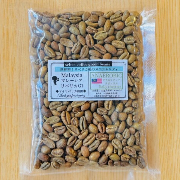 画像1: 【100g】マレーシア リベリカ種G1 「アナエロビック・ベビーチェリー」 (1)