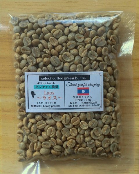 画像1: 【100ｇ】ラオス 「センチャン農園・イエローカツアイ種/ハニープロセス」 (1)