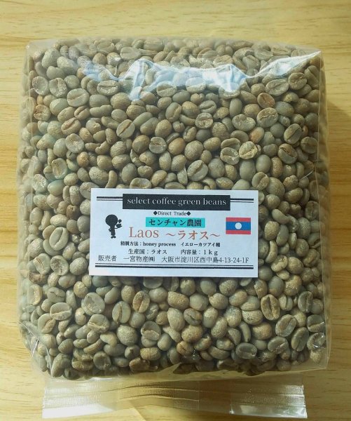 画像1: 【1kｇ】ラオス 「センチャン農園・イエローカツアイ種/ハニープロセス」 (1)