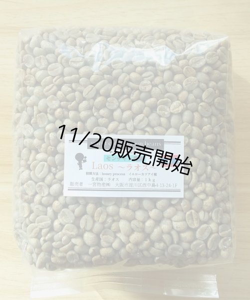 画像1: 【1kｇ】ラオス 「センチャン農園・イエローカツアイ種/ハニープロセス」 (1)