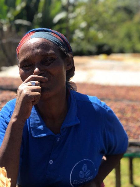 画像4: 【1kg】エチオピア・ヘレフG1  Washed (4)