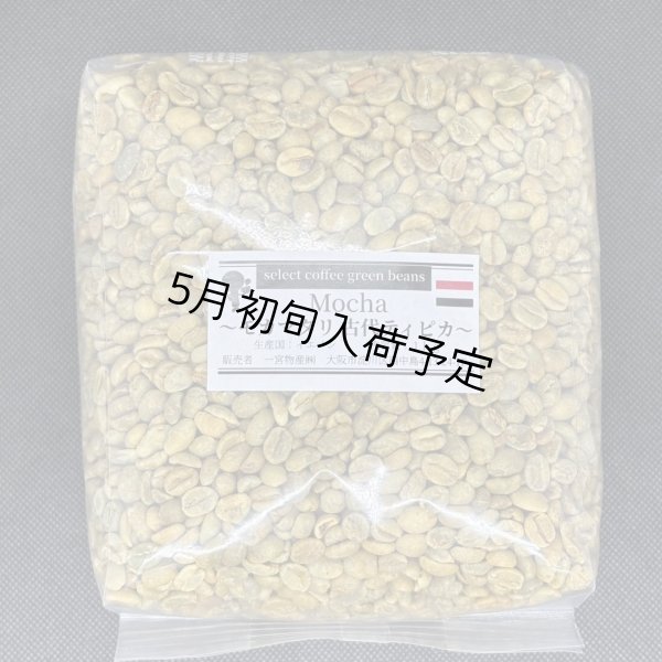 画像1: 【1kg】モカ マタリ・古代ティピカ (1)