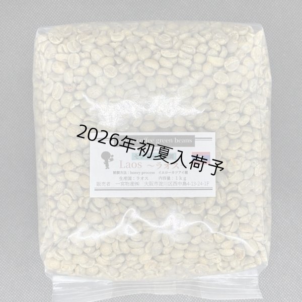 画像1: 【1kｇ】ラオス 「センチャン農園・イエローカツアイ種/ハニープロセス」 (1)