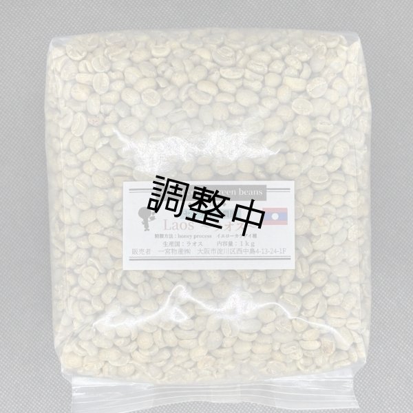 画像1: 【1kｇ】ラオス 「センチャン農園・イエローカツアイ種/ハニープロセス」 (1)