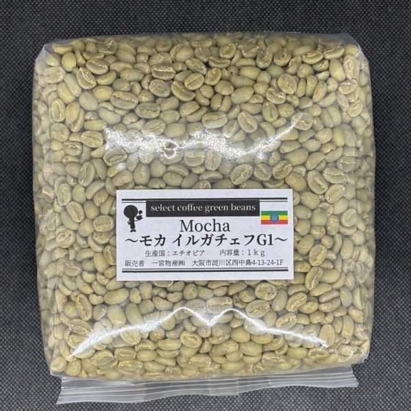 画像1: 【1kg】モカ イルガチェフ G1  (1)