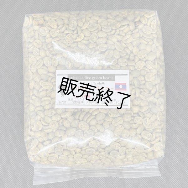 画像1: 【1kg】ラオス ジョイ農園 カティモール (1)