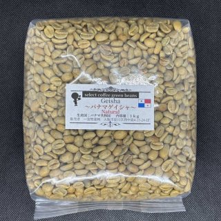 パナマゲイシャWashed 1kg