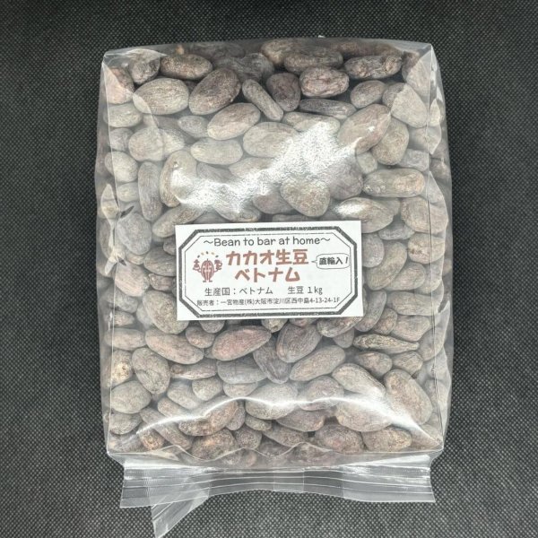 画像1: 《焙煎用》◉カカオ生豆◉【1kg】直輸入！ベトナム産 （5%お得価格） (1)