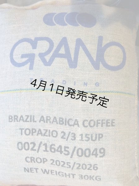 画像2: 【1kg】ブラジル・トパージオ「パトスデミナス地域」（partnership-lot） (2)