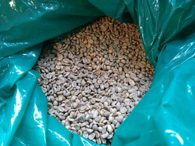 画像3: 【1kg】ブラジル・ゲイシャ「パトスデミナス地域」(partnership-lot)