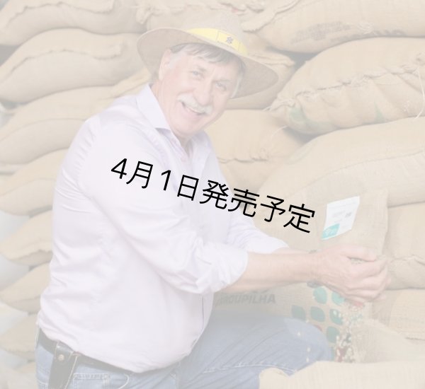 画像4: 【1kg】ブラジル・トパージオ「パトスデミナス地域」（partnership-lot） (4)