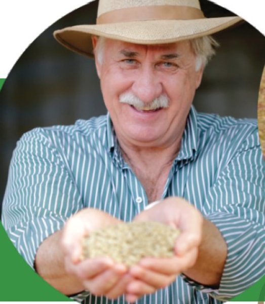 画像3: 【100g】ブラジル・トパージオ「パトスデミナス地域」（partnership-lot） (3)