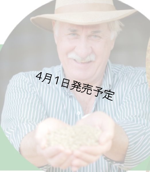 画像3: 【1kg】ブラジル・トパージオ「パトスデミナス地域」（partnership-lot） (3)