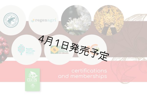 画像10: 【1kg】ブラジル・トパージオ「パトスデミナス地域」（partnership-lot） (10)