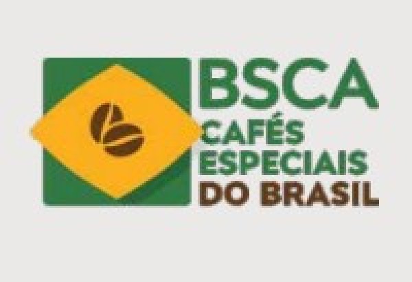 画像12: 【100g】ブラジル・トパージオ「パトスデミナス地域」（partnership-lot） (12)