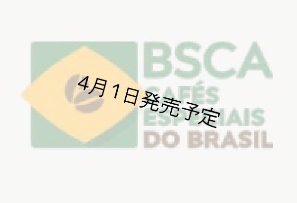 画像12: 【1kg】ブラジル・トパージオ「パトスデミナス地域」（partnership-lot） (12)