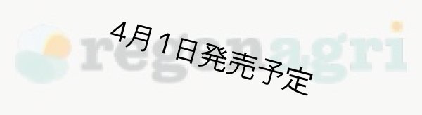 画像14: 【1kg】ブラジル・トパージオ「パトスデミナス地域」（partnership-lot） (14)