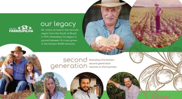 画像5: 【100g】ブラジル・トパージオ「パトスデミナス地域」（partnership-lot） (5)