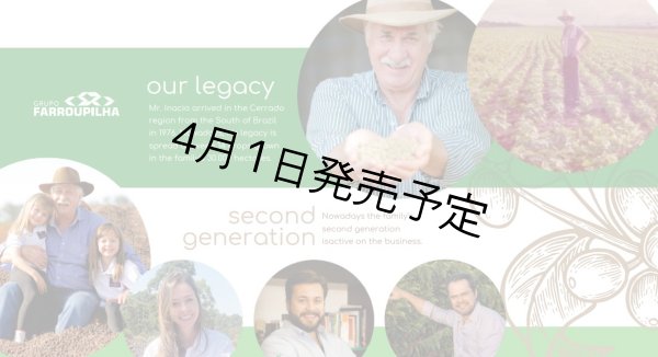 画像5: 【1kg】ブラジル・トパージオ「パトスデミナス地域」（partnership-lot） (5)