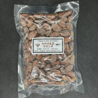 860円お得♪」 カカオ豆ローストから本格チョコ作り