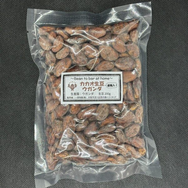 画像1: ◉カカオ生豆◉【200ｇ】直輸入！！ウガンダ産 (1)