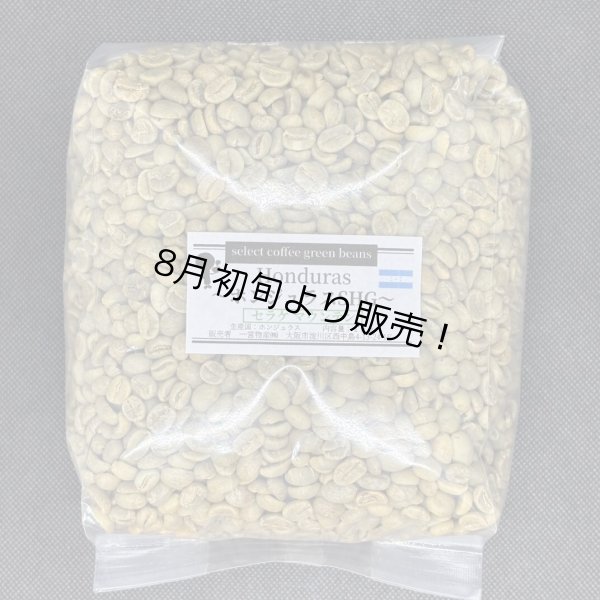 画像1: 【1kg】 ホンジュラスSHG 「セラケマウンテン」 (1)