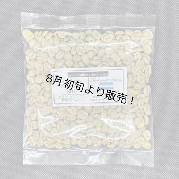 画像1: 【100g】 ホンジュラスSHG 「セラケマウンテン」 (1)