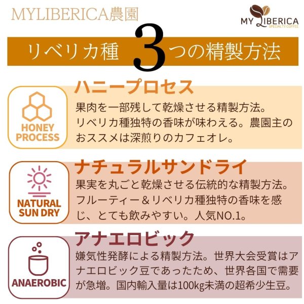 画像5: 【限定販売！！】ドリップパック『超希少！マレーシア産リベリカ種』各6個入り (5)