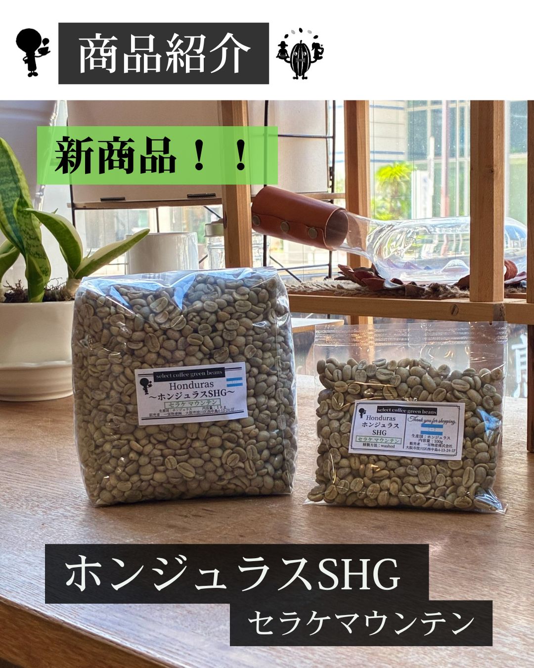 新商品【 ホンジュラスSHG セラケマウンテン 】のご紹介