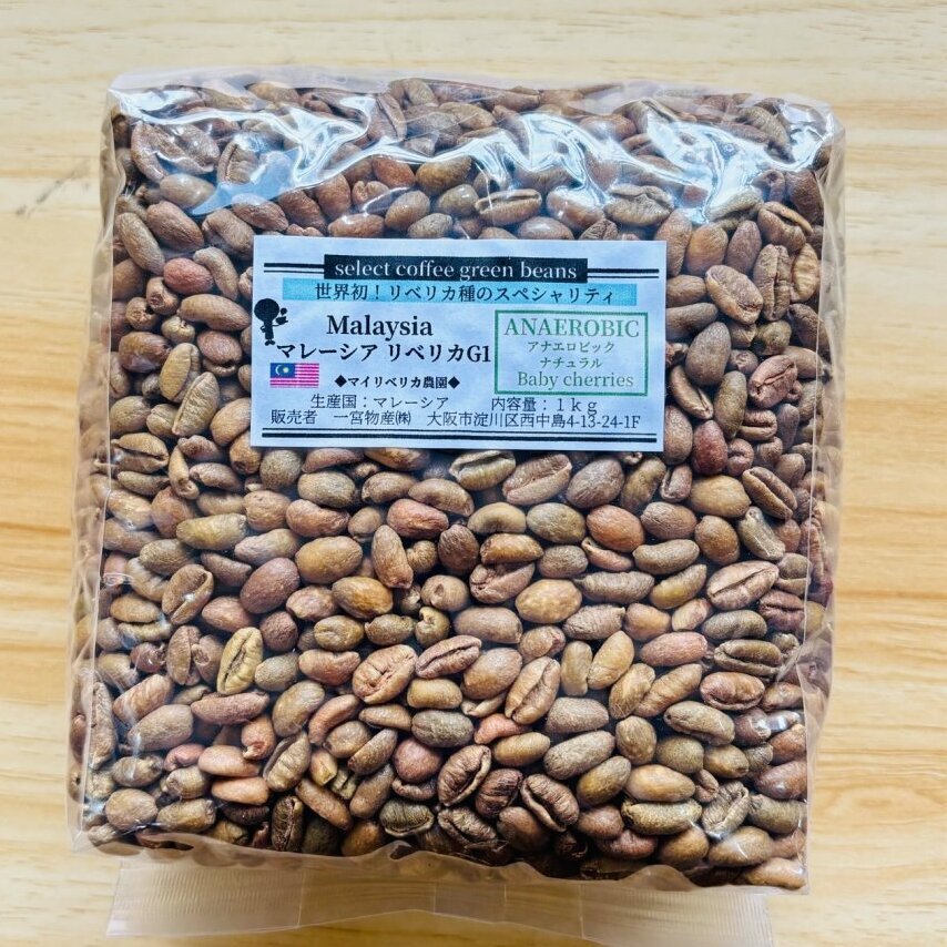 【1kg】マレーシア リベリカ種G1 「アナエロビック・ベビーチェリー」